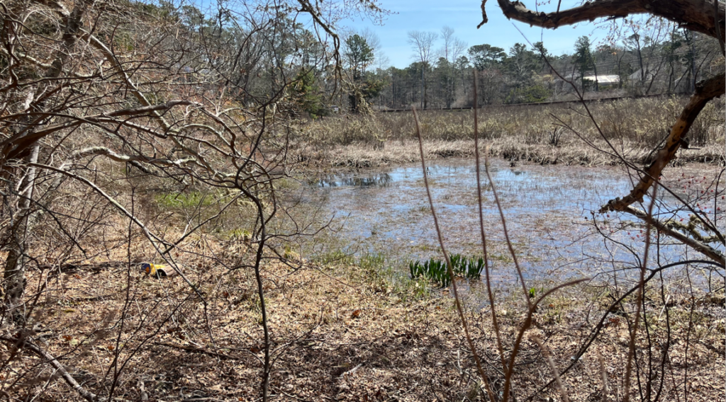 Photograph of Aunt Rennie's Pond in Harwich, Massachusetts