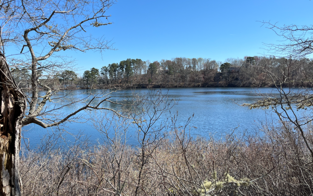 Photograph of Black Pond in Harwich, Massachusetts.
