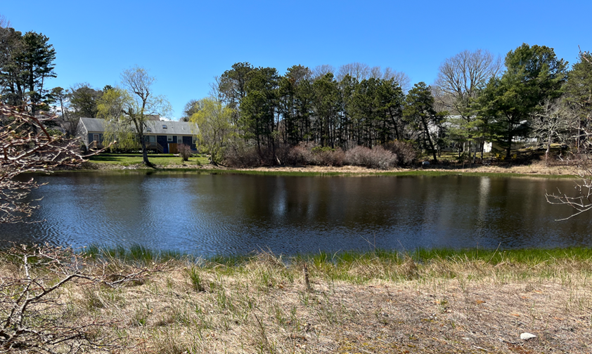 Photograph of Jack's Pond in Harwich, Massachusetts.