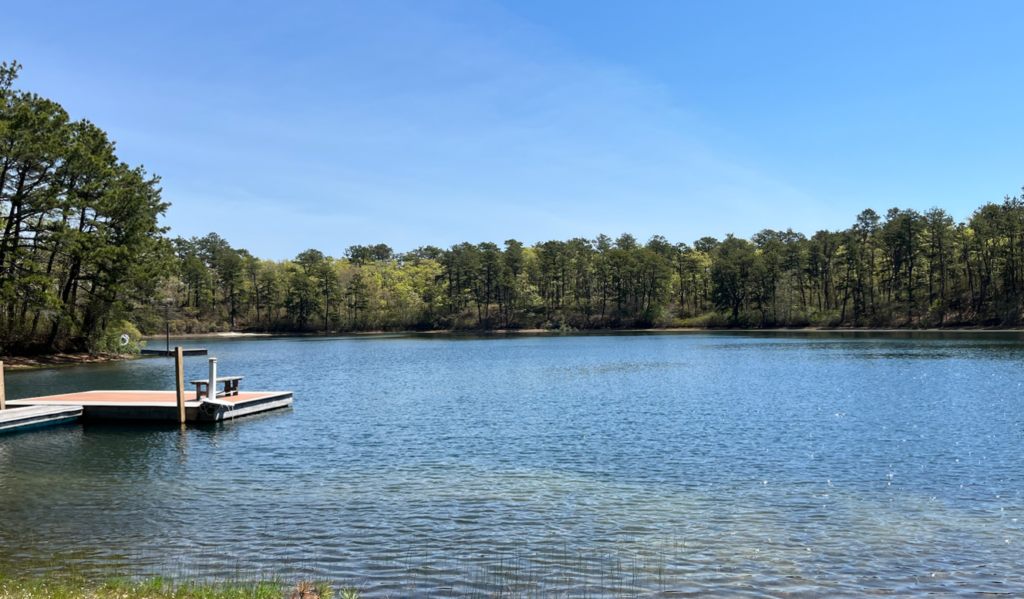 Photograph of Littlefield Pond in Harwich, Massachusetts