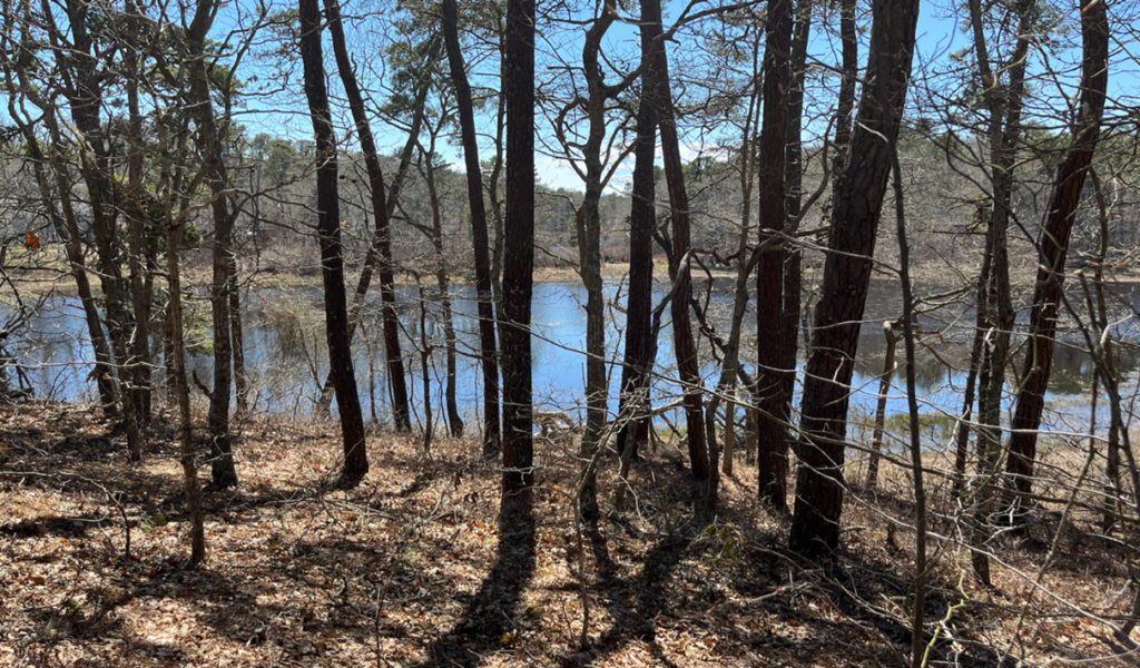 Photograph of Mud Pond in Harwich, Massachusetts.