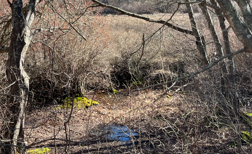 Photograph of Okers Pond in Harwich, Massachusetts