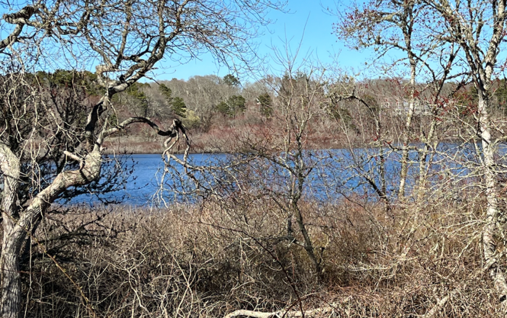 Photograph of Paddocks Pond in Harwich, Massachusetts
