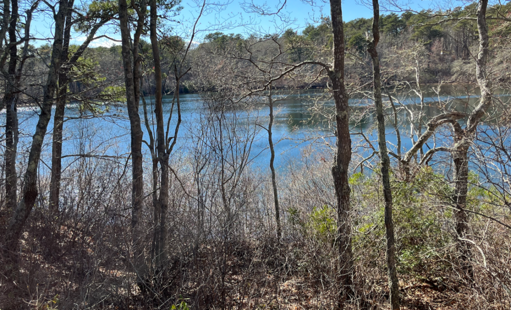 Photograph of Round Pond in Harwich, Massachusetts.