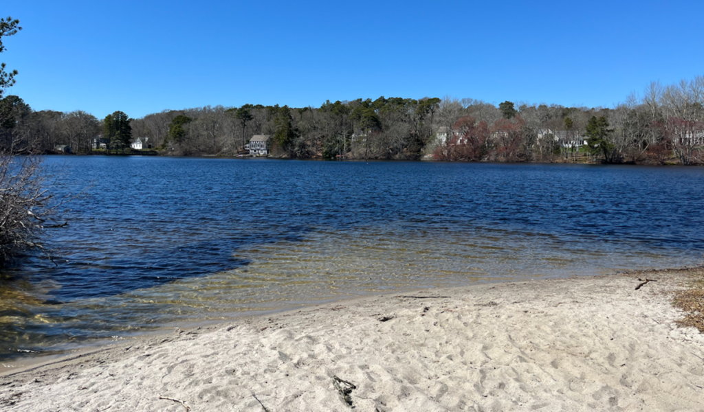 Photograph of Small's Pond in Harwich, Massachusetts.