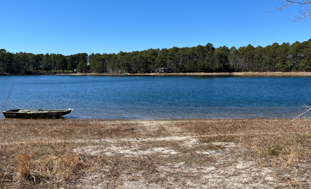Photograph of White Pond in Harwich, Massachusetts.