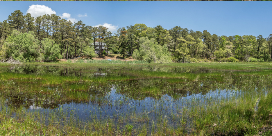 Photograph of Rushy Pond in Harwich, Massachusetts
